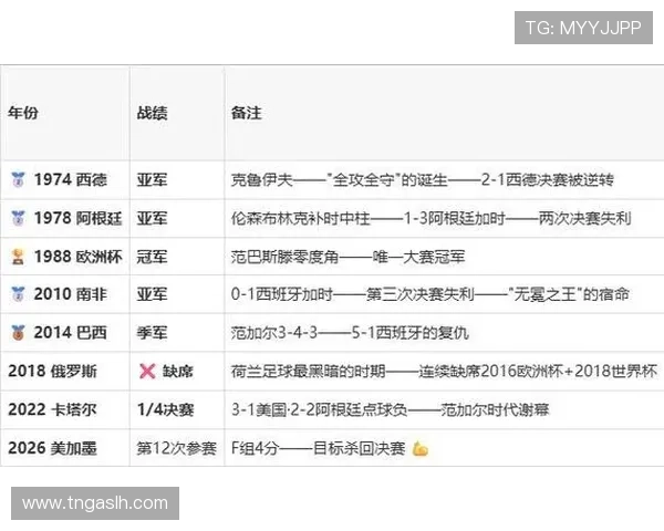 荷兰3-1突尼斯：世界杯F组末轮战报